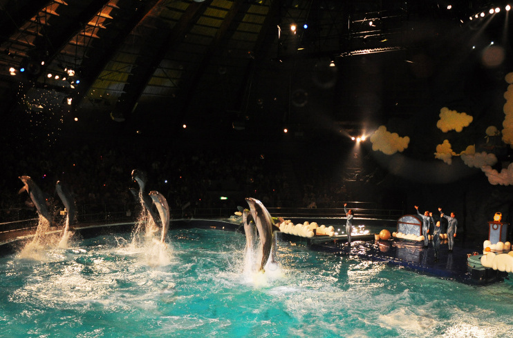 Delfinárium – největší mořský zoopark v Evropě