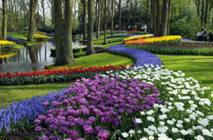 Keukenhof  – Zahrada holandských tulipánů